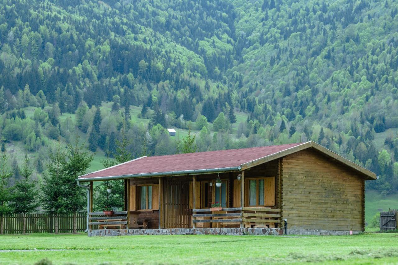 Biotour Camping & Restaurant Ghimeş-Făget Eksteriør billede